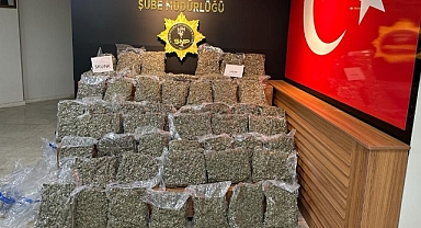 Urfa'da uyuşturucu operasyonu! 1 gözaltı