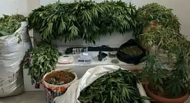 23 bin 770 kök haşhaş ele geçirildi