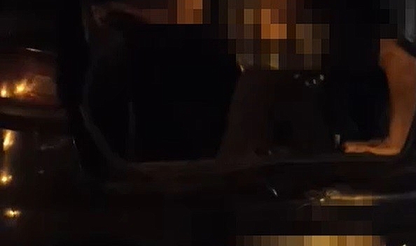 Çekicideki aracın bagajında 7 düzensiz göçmen yakalandı