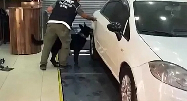 Dev uyuşturucu operasyonu