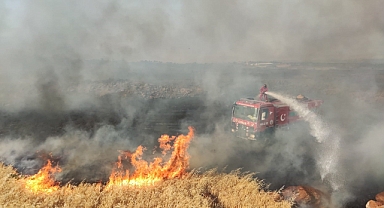 Gaziantep'te buğday tarlasında yangın