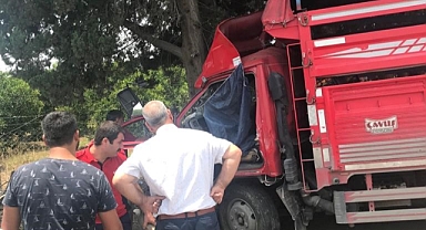 Kamyonet ağaca çarptı: 1 ölü, 6 yaralı