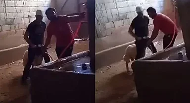 Sahtekarlık ve vicdansızlık pes dedirtti