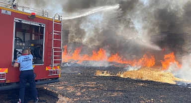 Siirt’te 130 dekar tarım arazisi küle döndü