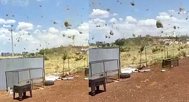 Siverek'te çıkan hortum panik yarattı