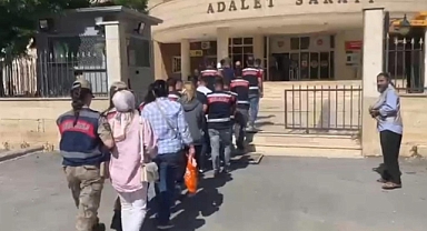 Urfa'da yeşil reçete operasyonunda 6 tutuklama