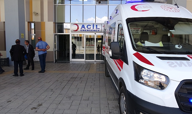 Van'da mera otlatma kavgası: 4 yaralı