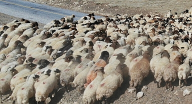Yargıtay'dan çiftçiye kötü haber