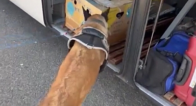 2 kilo 750 gram esrar ele geçirildi