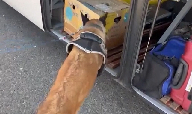 2 kilo 750 gram esrar ele geçirildi