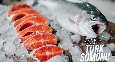 6 aylık su ürünleri ihracatı 829 milyon dolara ulaştı