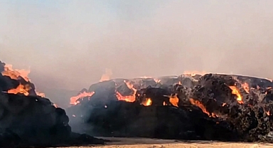 Akçakale'de 5 bin ton saman kül oldu