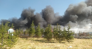 Arazide başladı, hurdalığa sıçradı