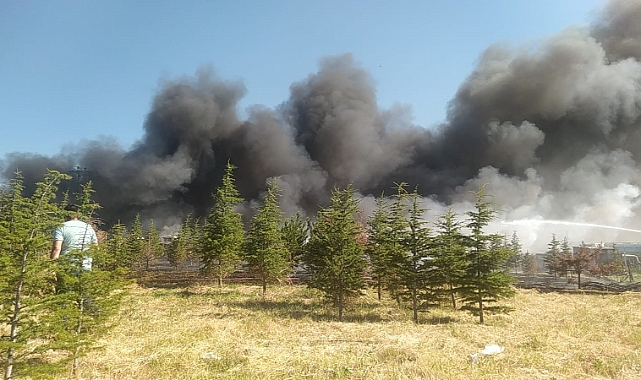 Arazide başladı, hurdalığa sıçradı
