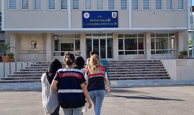 DEAŞ operasyonu: 2 gözaltı