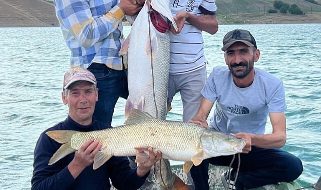 Fırat Nehri'nde 30 kiloluk turna balığı
