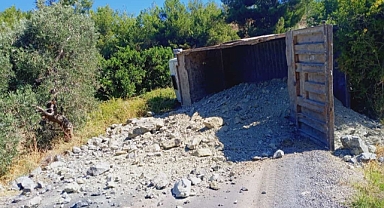 Freni tutmayan kamyon devrildi: 1 yaralı