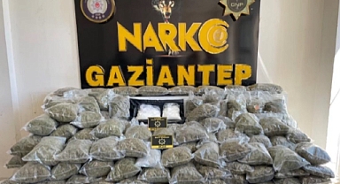 Gaziantep'te 80 kilo skunk ele geçirildi