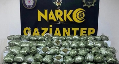 Gaziantep'te 80 kilo skunk ele geçirildi