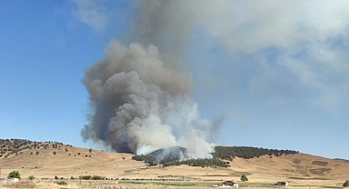 Gaziantep'te korkutan orman yangını
