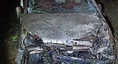Hafif ticari araç şarampole yuvarlandı