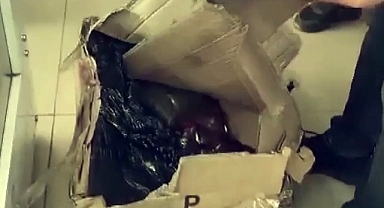 Kaçakçılık operasyonu: 8 gözaltı