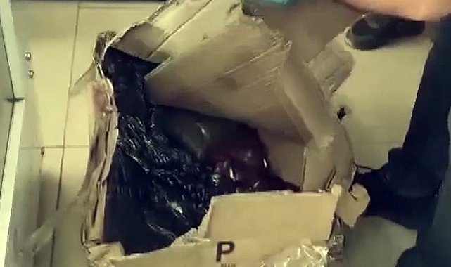 Kaçakçılık operasyonu: 8 gözaltı