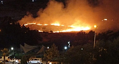 Karaköprü GAP Vadisi 3.etap parkında yangın
