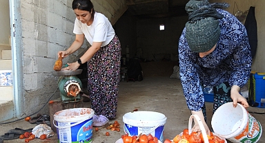 Kavurucu sıcak altında salça yapımı başladı