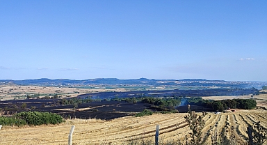 Keşan'daki arazi yangınında bin 226 dönüm buğday kül oldu