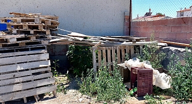 Konya'da 40 kök kenevir ele geçirildi