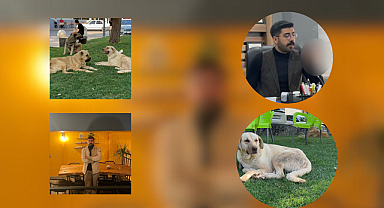 Kuduz köpeğin saldırınsa uğrayan genç mimar hayatını kaybetti