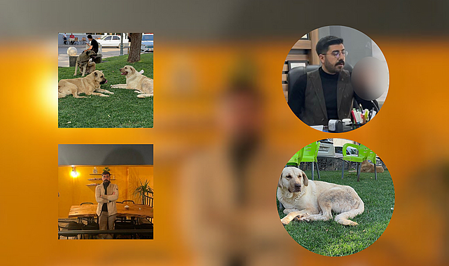 Kuduz köpeğin saldırınsa uğrayan genç mimar hayatını kaybetti