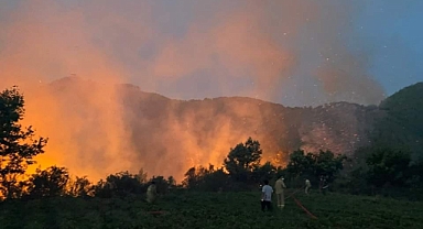Mersin'de orman yangını havadan ve karadan müdahale ile kontrol altına alındı