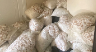 Milyonlarca kaçak makaron ele geçirildi