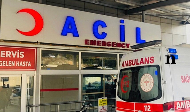 Mısır tarlasında cinayet: 1 ölü
