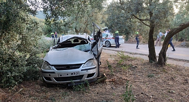 Otomobil zeytinliğe uçtu