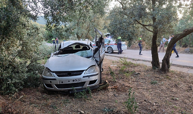 Otomobil zeytinliğe uçtu