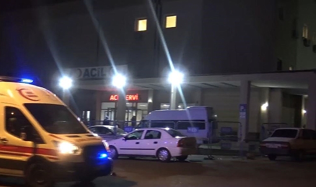 Şanlıurfa'da 2 kardeş silahla vurulmuş halde ölü bulundu