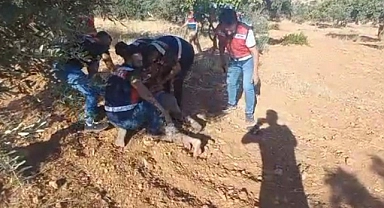 Şanlıurfa’da cinayet zanlısı fıstık tarlasında yakalandı