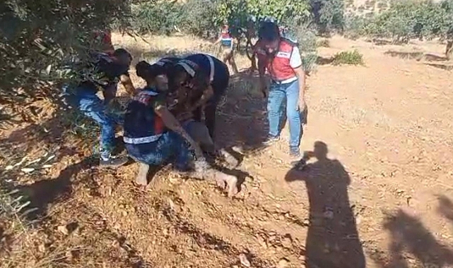 Şanlıurfa’da cinayet zanlısı fıstık tarlasında yakalandı