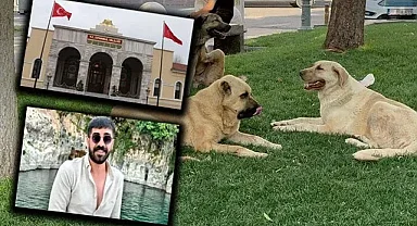 Şanlıurfa'da da talimat örnek alınacak mı?