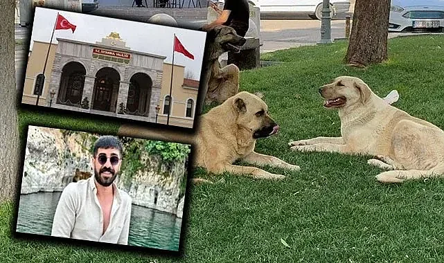 Şanlıurfa'da da talimat örnek alınacak mı?