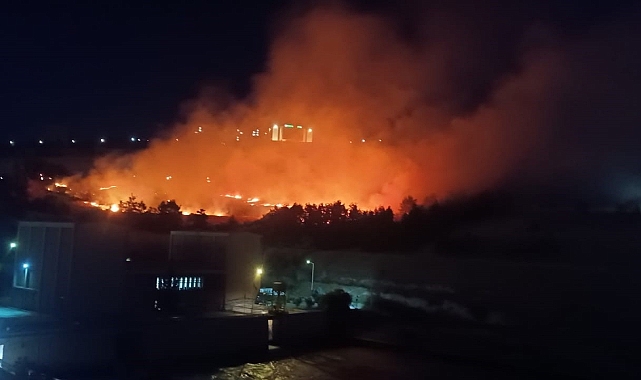 Şanlıurfa'da korkutan yangın