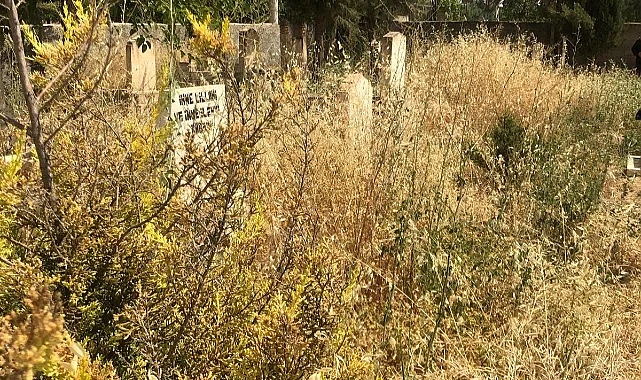 Şanlıurfa'da mezarlığın hali içler acısı