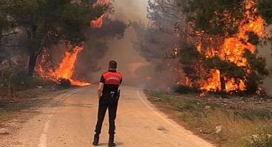Şanlıurfa’da orman yangın