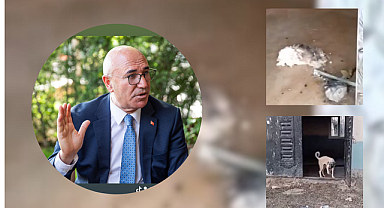 Şanlıurfa'da skandal görüntüler! Görüntüleri paylaşan ise Urfa Milletvekili