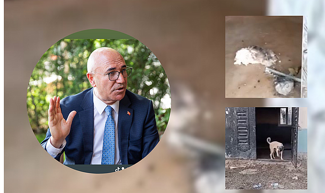 Şanlıurfa'da skandal görüntüler! Görüntüleri paylaşan ise Urfa Milletvekili