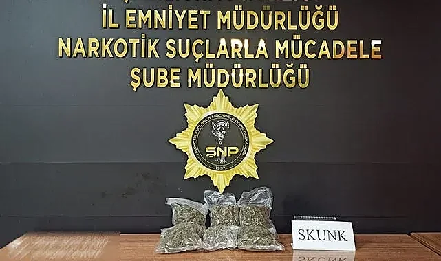 Şanlıurfa'da skunk ele geçirildi! 1 gözaltı