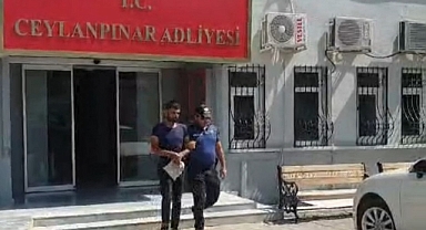 Şanlıurfa’da suç makinesi mahalle bekçilerinden kaçamadı